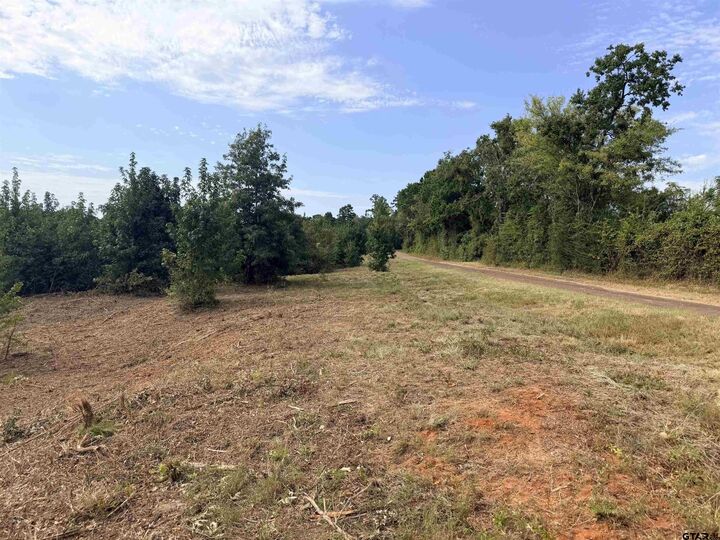 Property Photo: Tbd County Road 353 S TX 75654