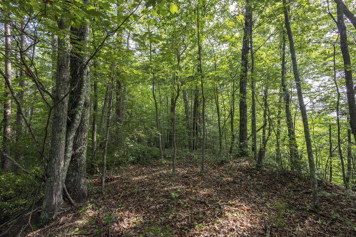 Property Photo:  Lot 116-120 Highland Heights  KY 41397 