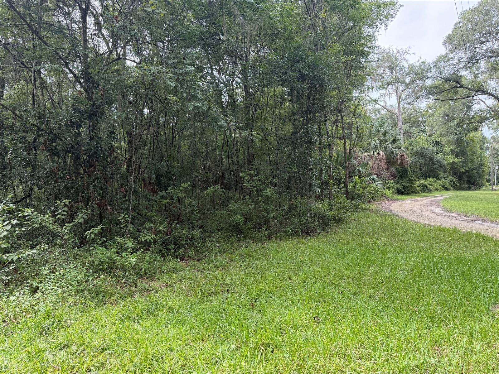 Property Photo:  Tbd SW 113th Avenue  FL 32608 