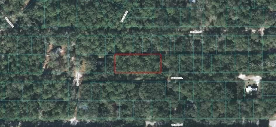 Property Photo: 225th Place FL 32134