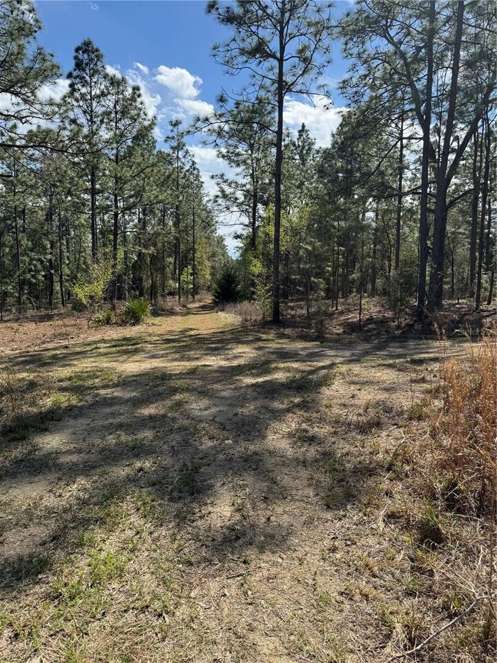 Property Photo: SW 156th Court FL 34481