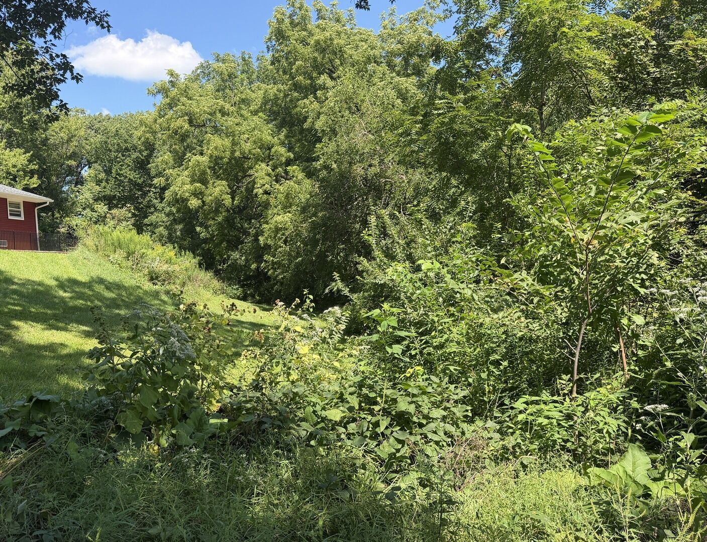 Property Photo: 200 Richards Street IL 61348