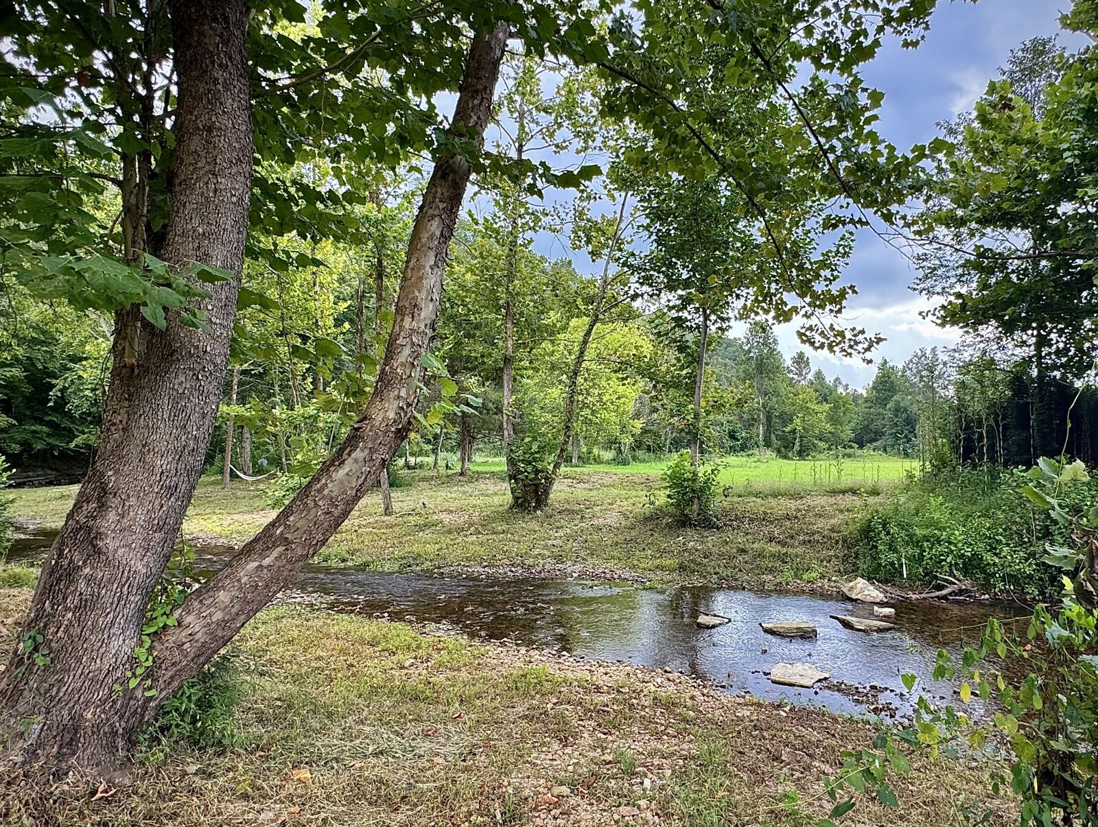 Property Photo:  2280 Big Opossum Creek Rd  TN 37096 