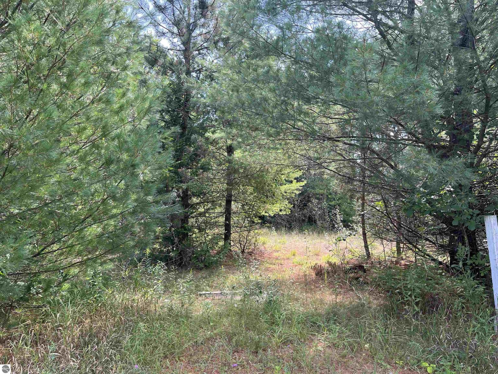Property Photo:  0 Cedar Lake Road  MI 48738 