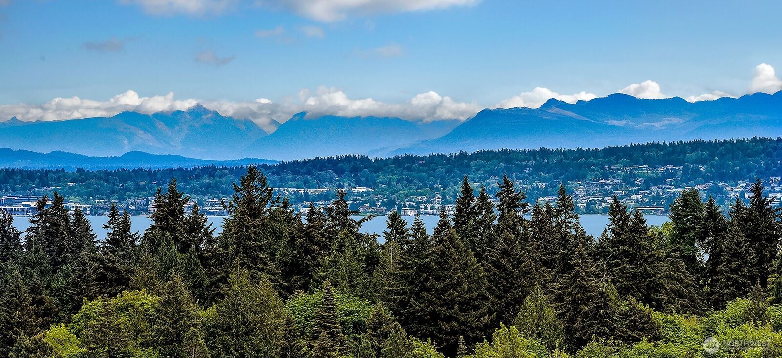 Property Photo:  1259  23rd Avenue E  WA 98112 