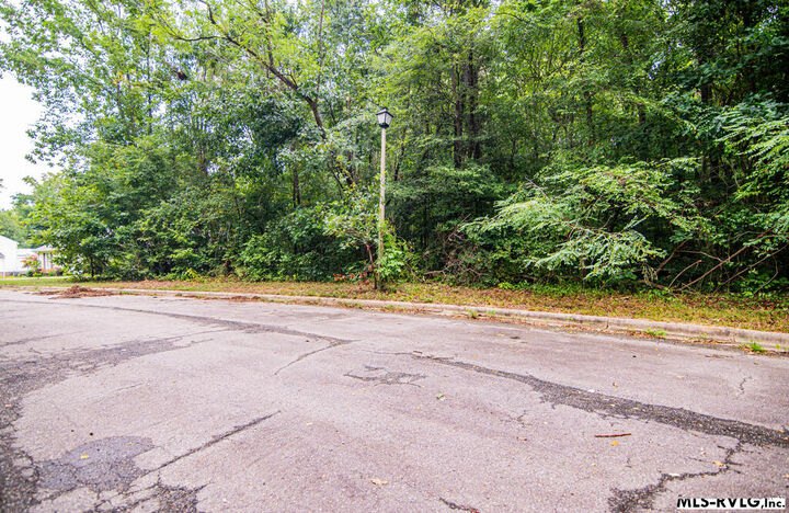 Property Photo:  Lot # 13 Downs Brook Dr  NC 27870 