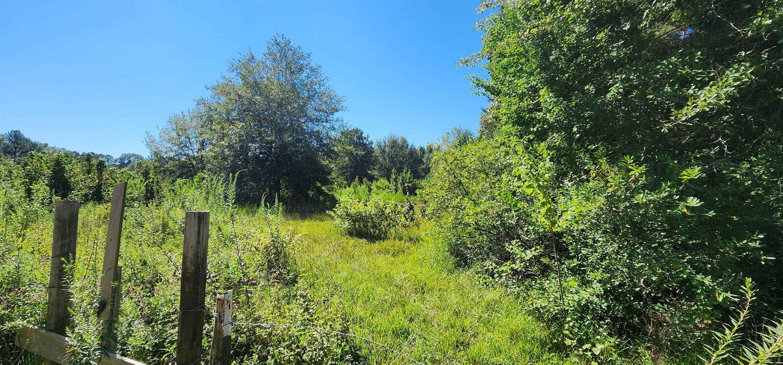 Property Photo: 00 Cr 808 TX 77612
