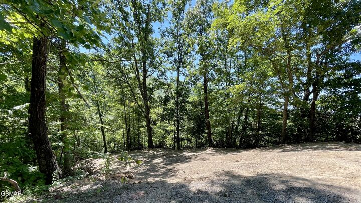 Property Photo:  23 &Amp 24 Red Maple Lane  TN 37876 