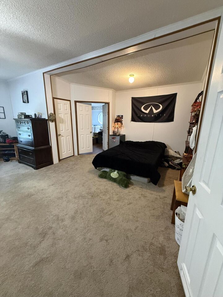 Property Photo: 100 Dunmeyer Loop Road SC 29485