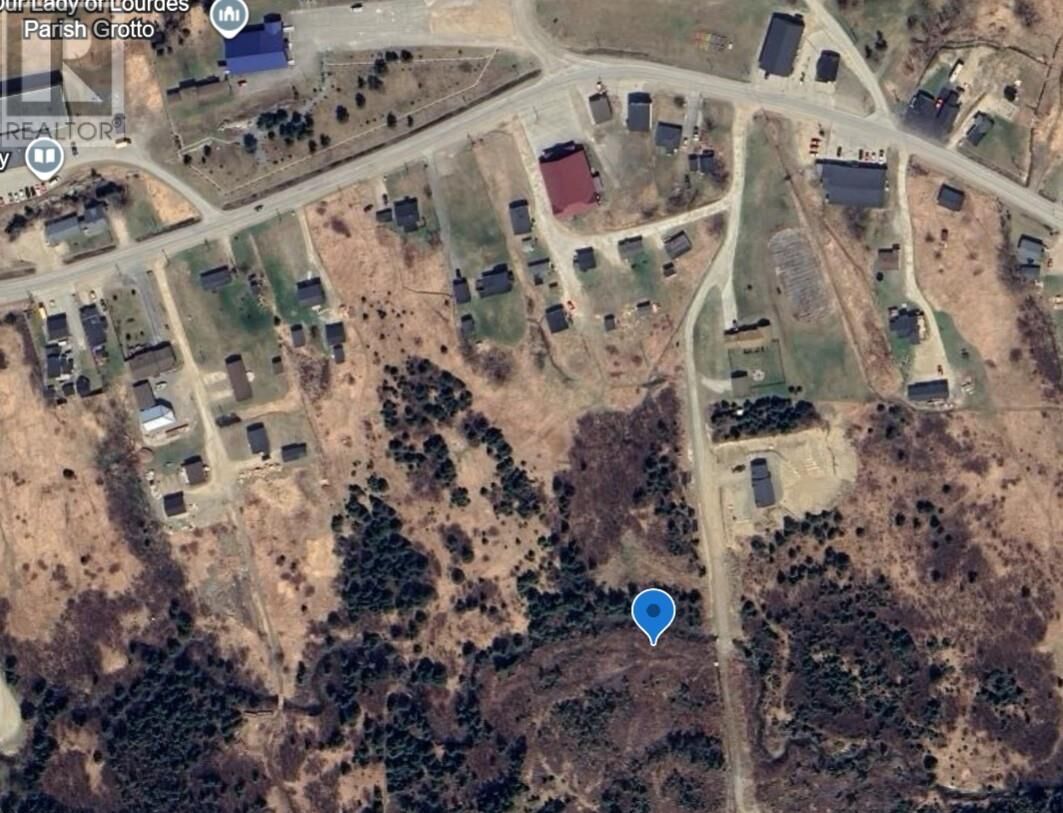 Property Photo:  15 Sams Lane  NL A0N 1R0 
