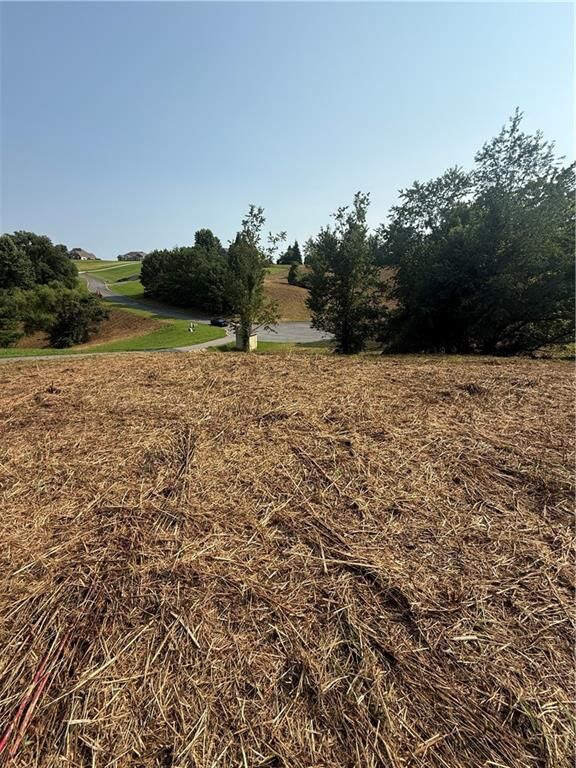 Property Photo:  0 Ridgemont Lane  GA 30536 