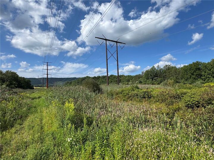 Property Photo:  Butternut Drive  PA 18088 