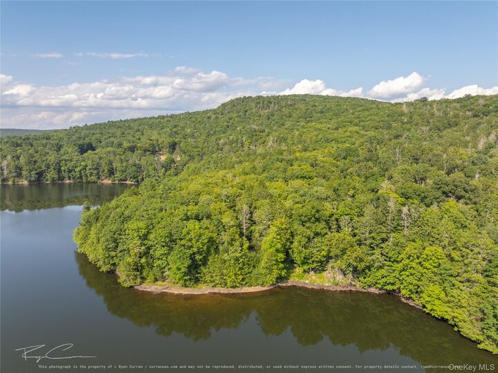 Property Photo:  Old Plank Road  NY 12777 