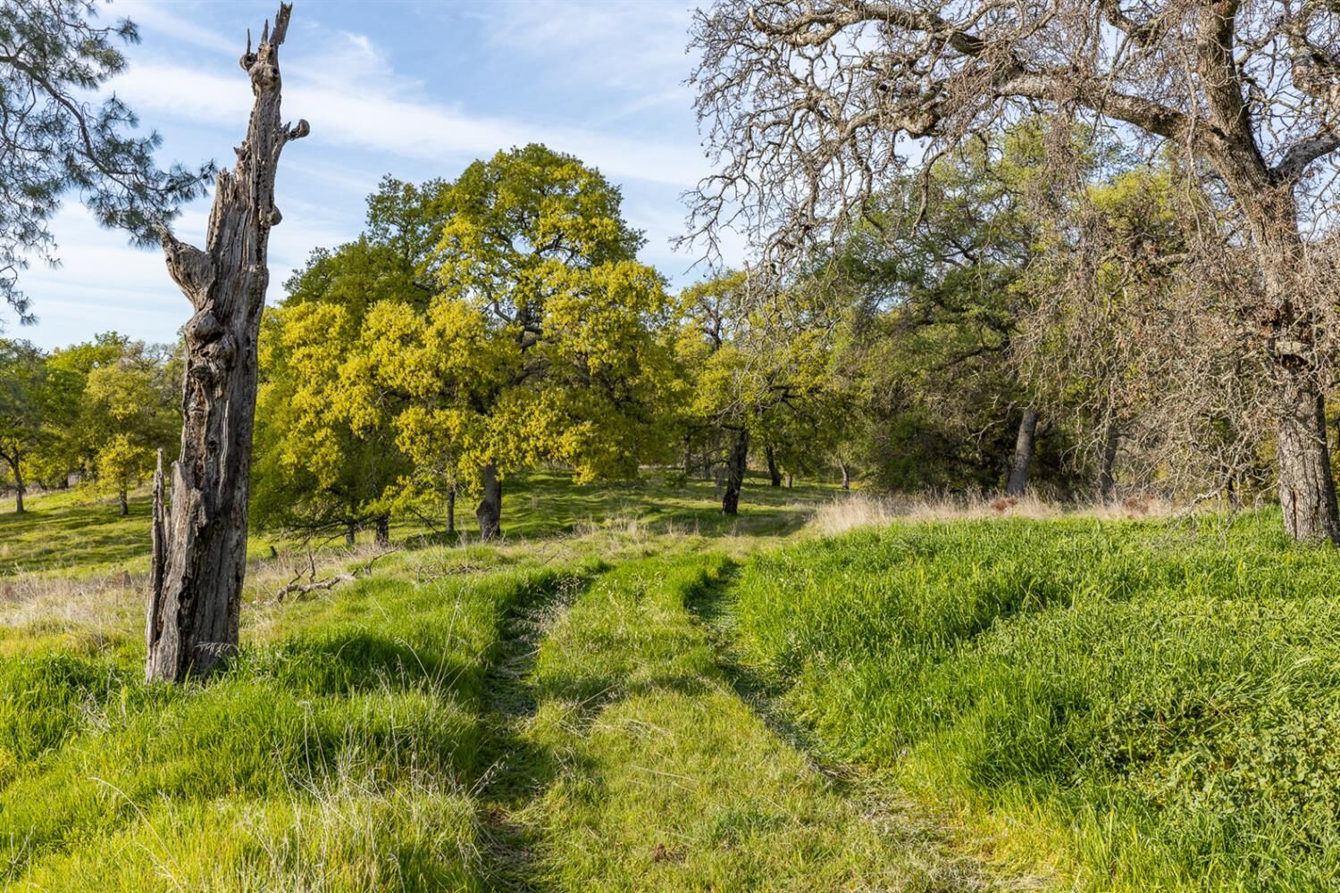 Property Photo: 4042 Wilson Town Road CA 95648