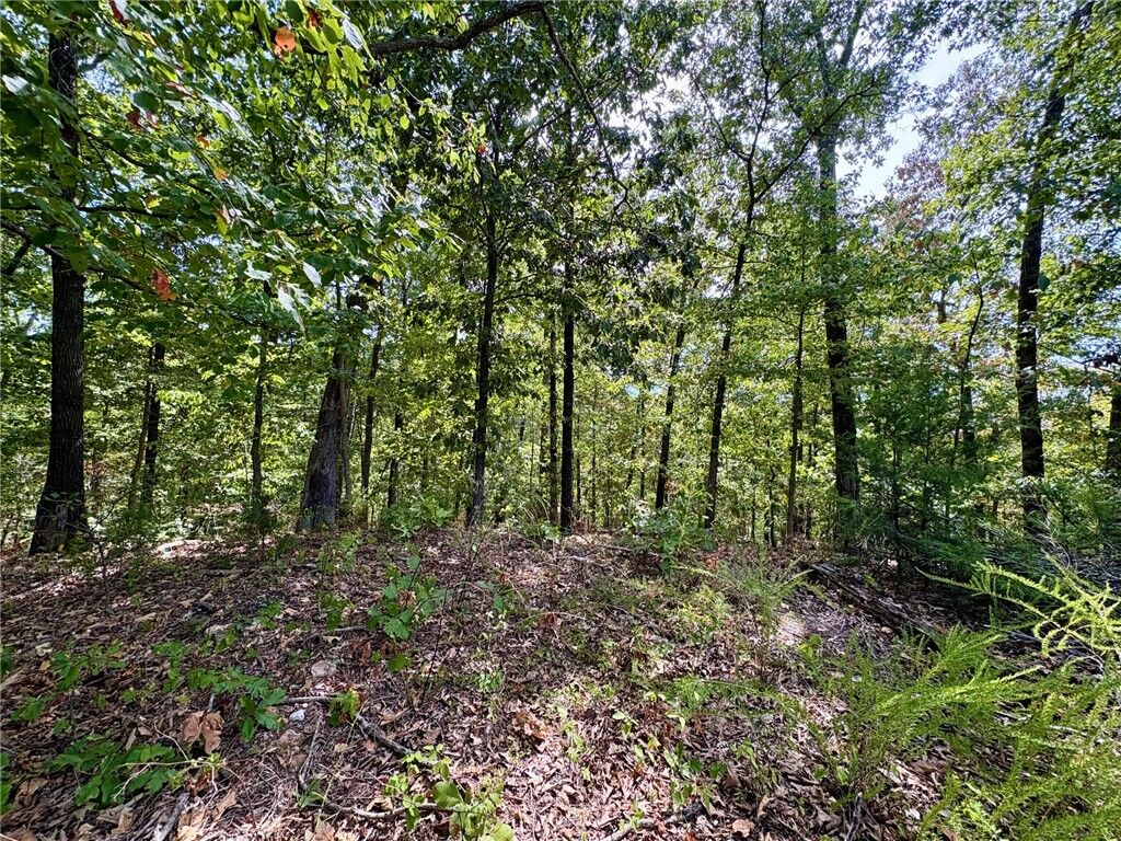 Property Photo: 3 Burn Lane AR 72714