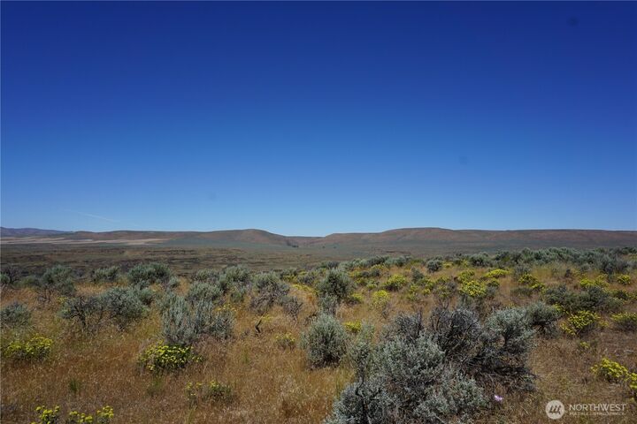 Property Photo: 54143 Appaloosa Way WA 98823