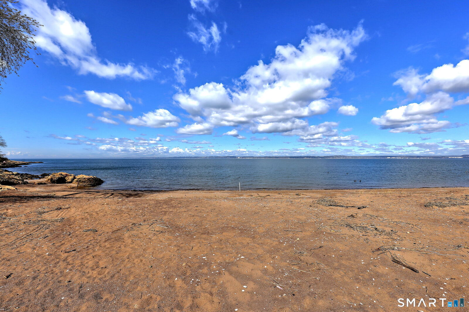 Property Photo:  1 Cora Street 3  CT 06512 