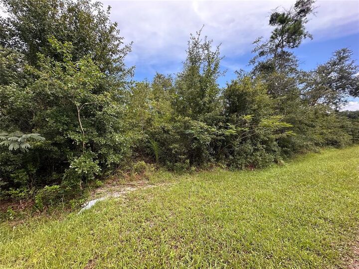 Property Photo:  0000 Macaw Road  FL 32097 