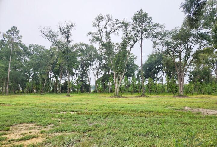 Property Photo:  115 Sawtooth Drive  GA 31763 
