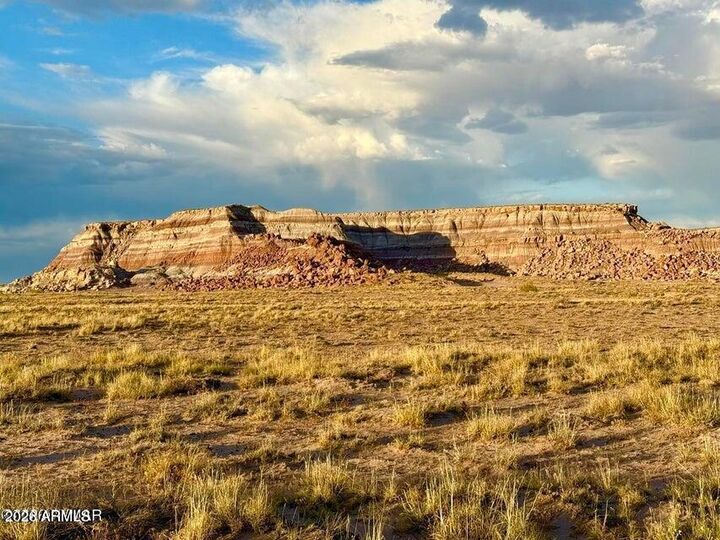 Property Photo:  8983 Down Under Rd 38.82 Acres --  AZ 86025 