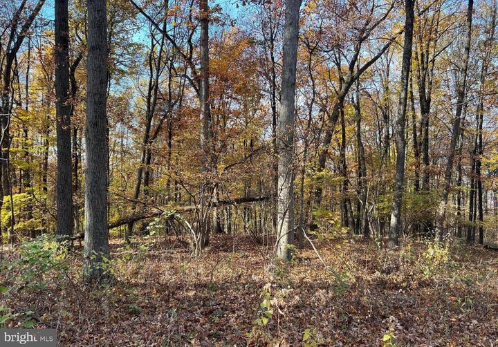 Property Photo: 0 N Hill Church Road PA 17036