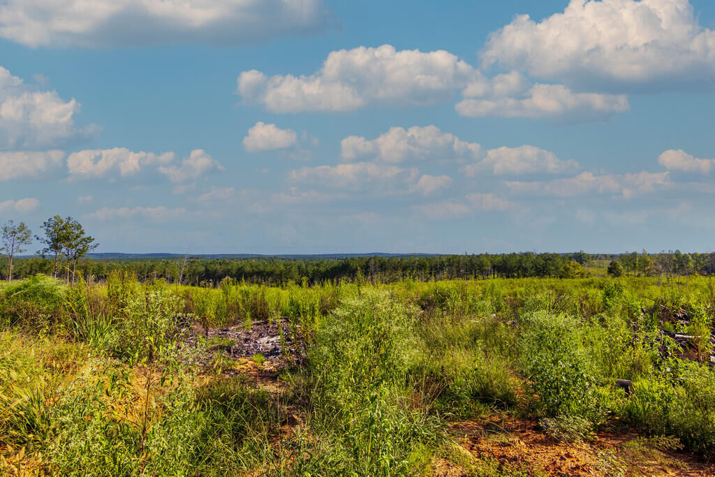 Property Photo:  Tract 3 Highway 0036  GA 31836 
