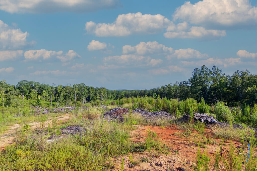 Property Photo:  Tract 1 Highway 0036  GA 31836 