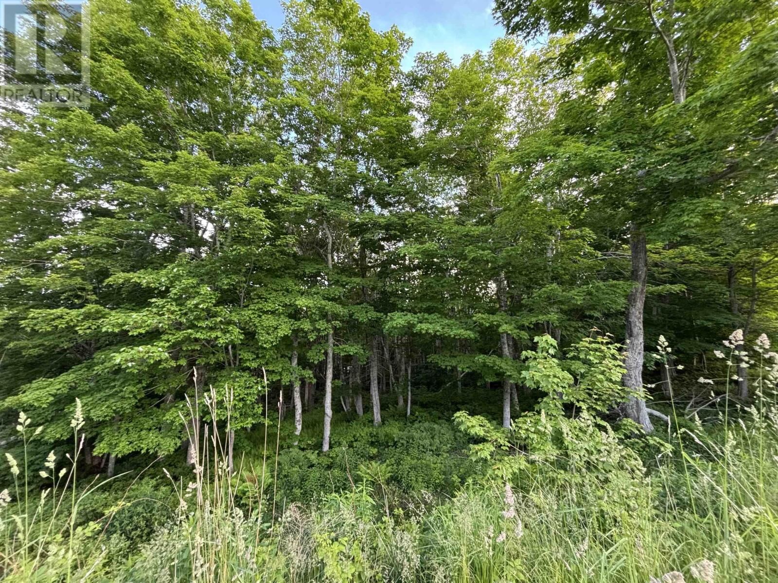 Property Photo:  28 Parkland Place  NS B1Y 2X9 