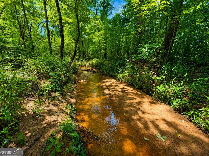 Property Photo: 29 Acres Cochran Road GA 30650