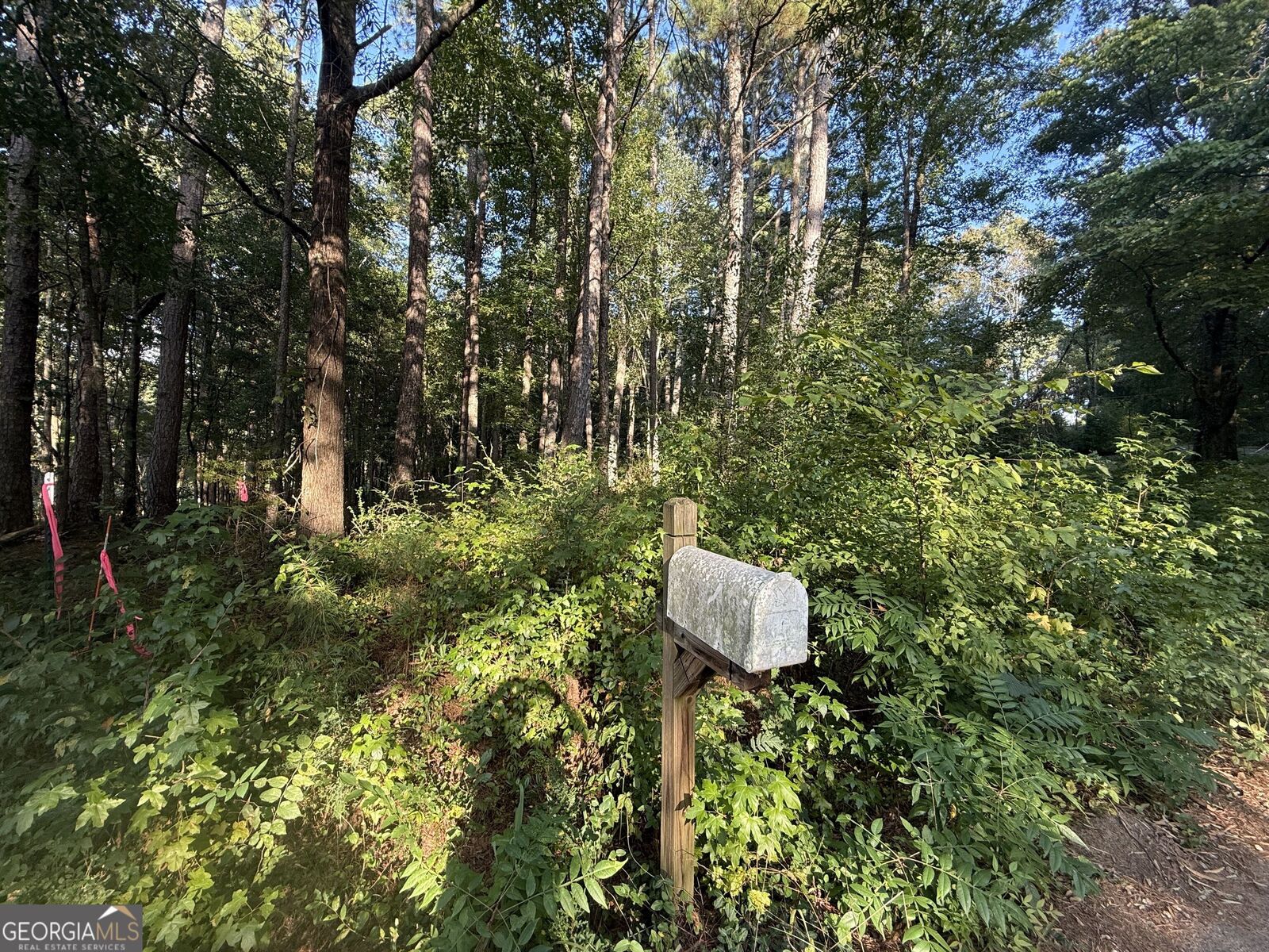 Property Photo: 0 Grogan Hill Road SE GA 30173