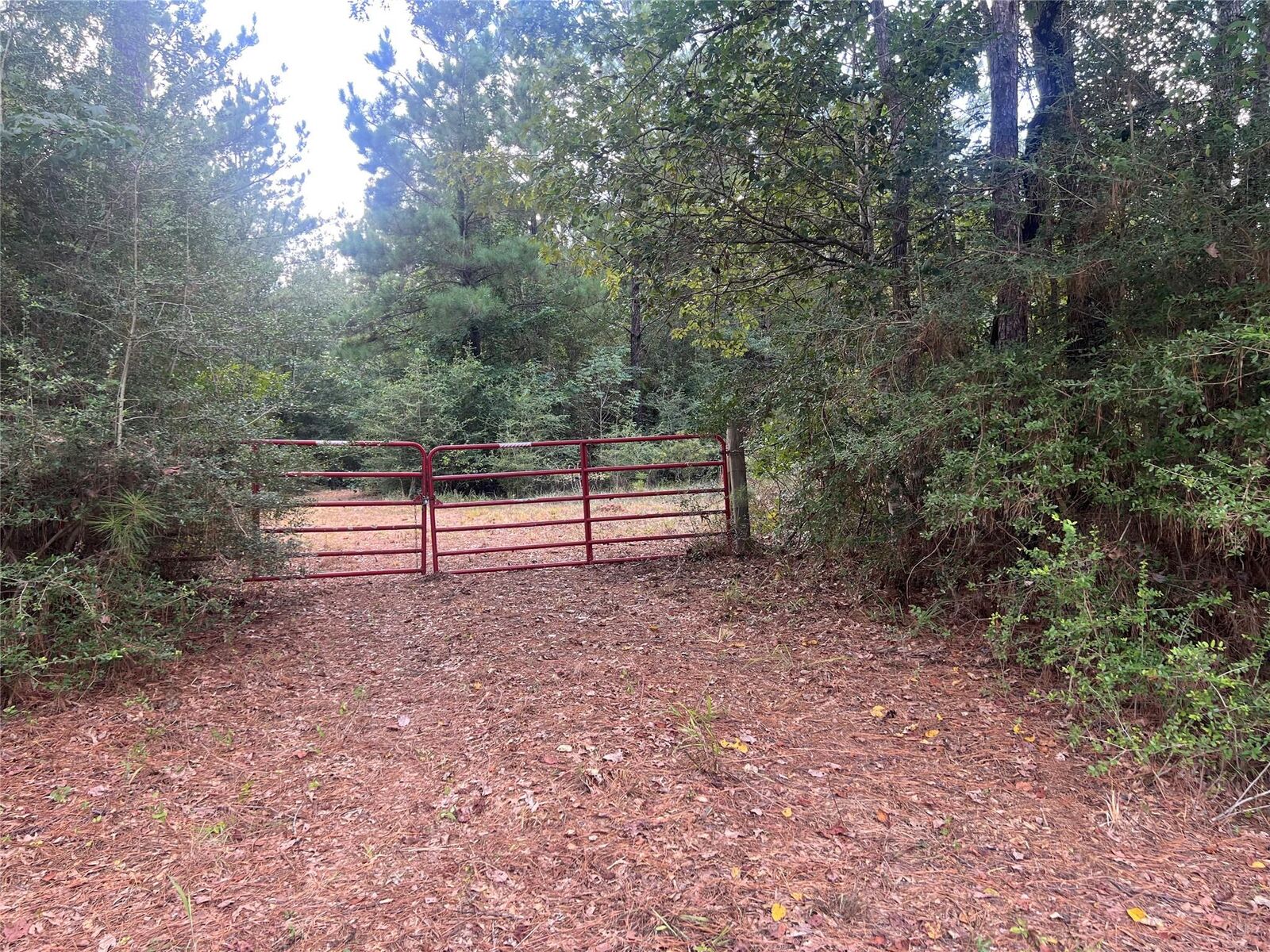 Property Photo: 7926 E Fm 942 TX 77351