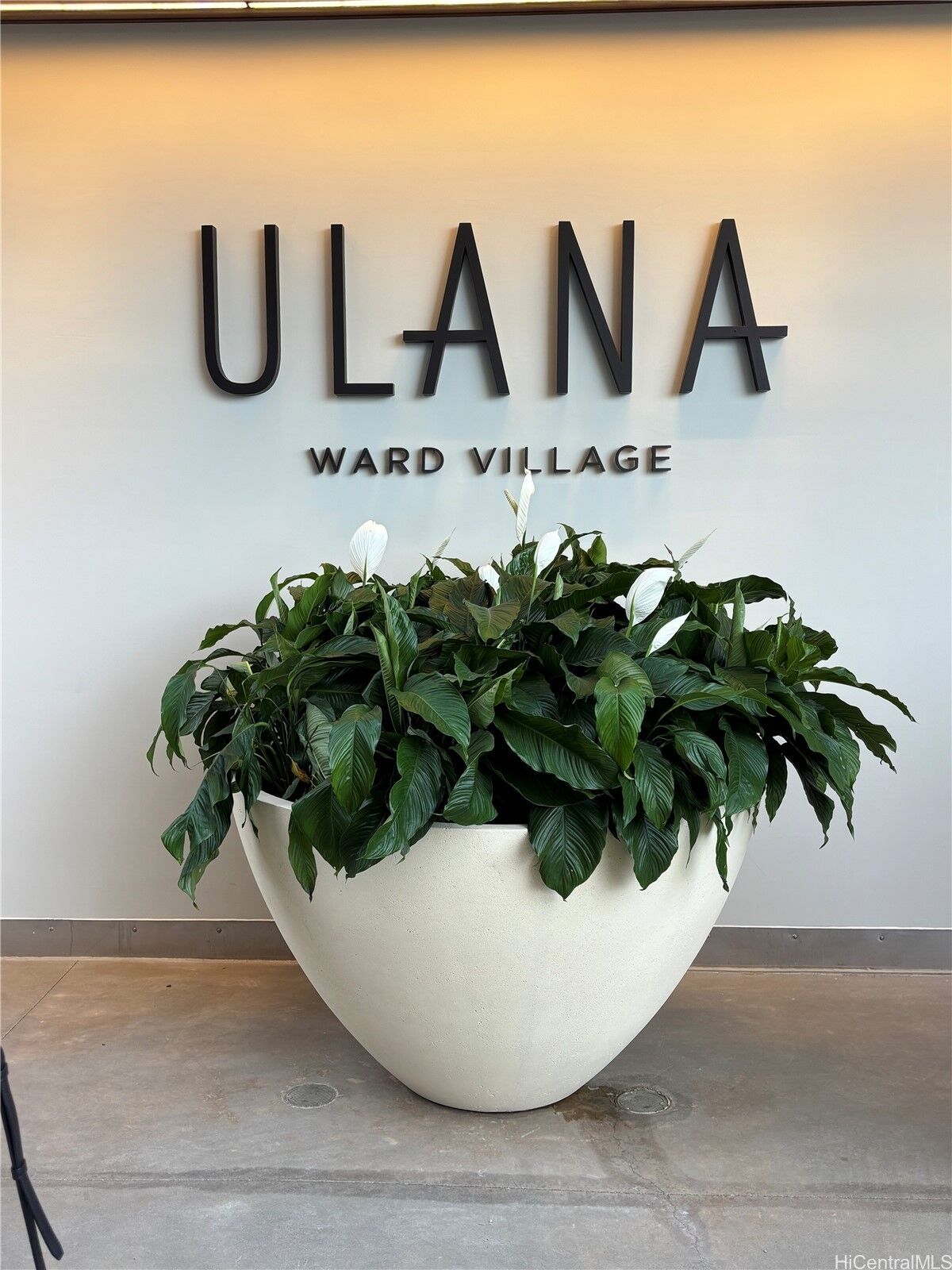 Property Photo:  828 Auahi Street 409  HI 96813 