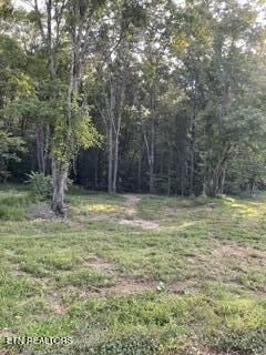 Property Photo: Wells Rd TN 37849