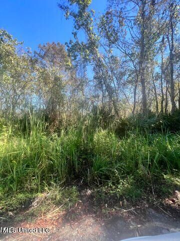 Property Photo: Cochran Avenue MS 39562