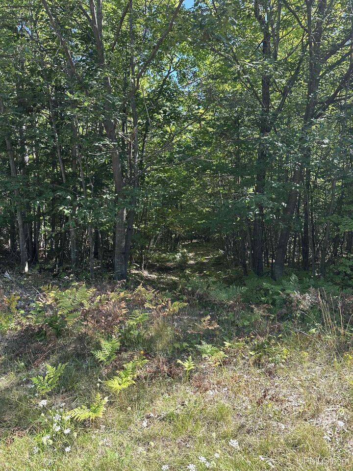 Property Photo: 140 Meco Court Road MI 49855