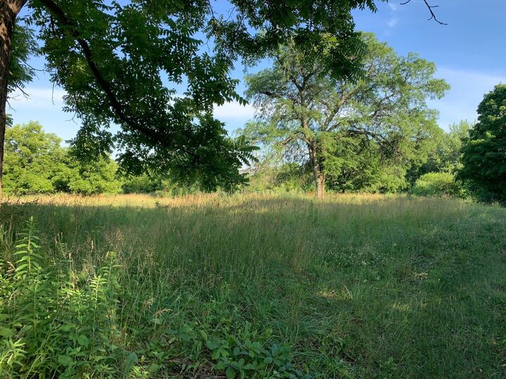 Property Photo:  3523 Long Grove Road  IL 60047 