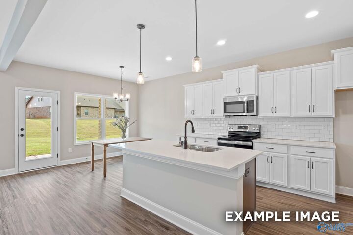 Property Photo:  355 Creek Grove Avenue  AL 35761 