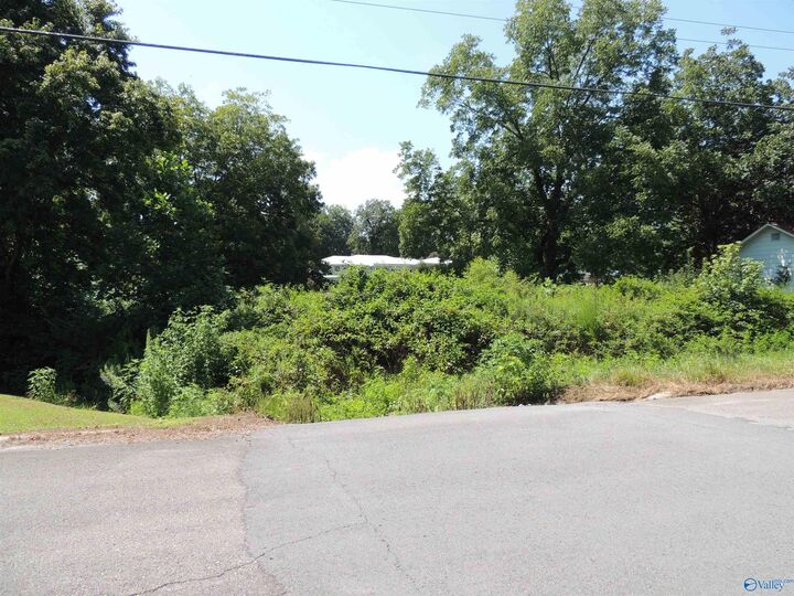 Property Photo:  .51 Gaines Street  AL 35962 