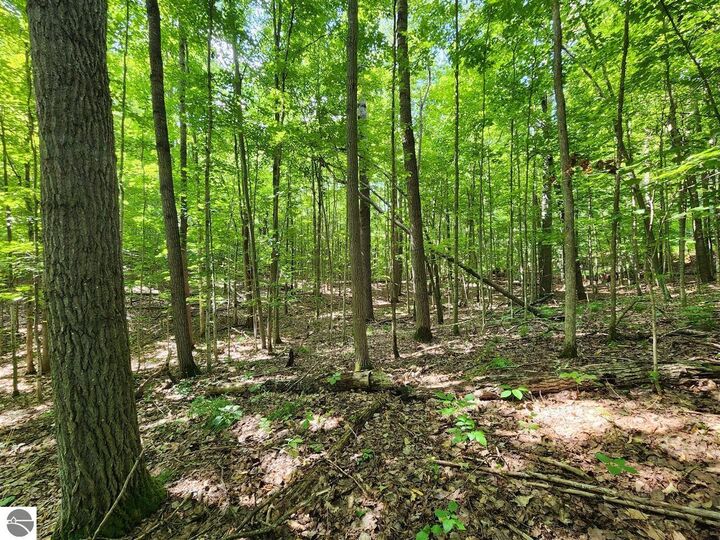 Property Photo:  Vl Cedar Valley Ridge Drive  MI 49684 