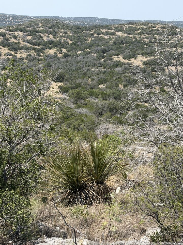 Property Photo: Tbd Sd 45400 TX 78880