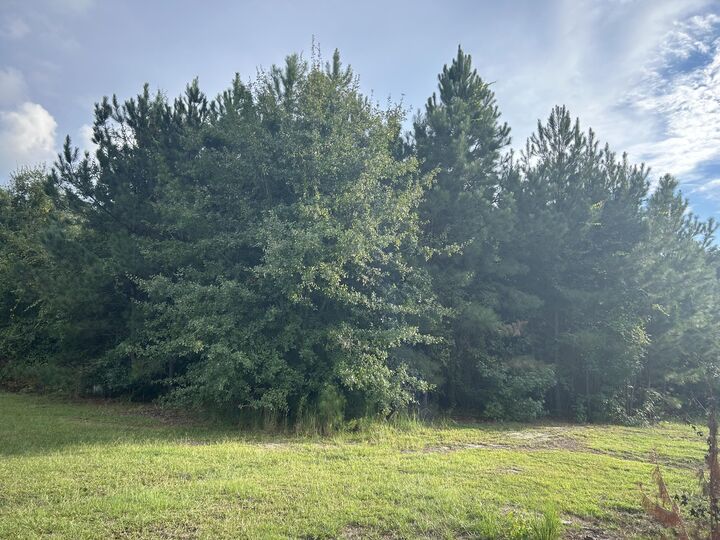 Property Photo:  1740 Elder Lane  SC 29153 