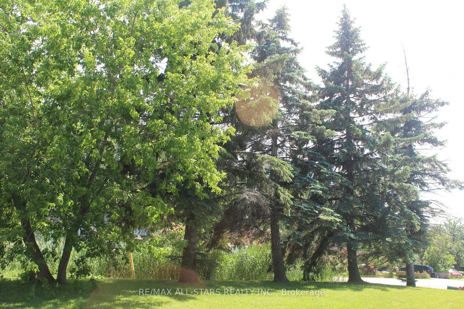 Property Photo:  182 Frederick Street  ON L4P 2J1 