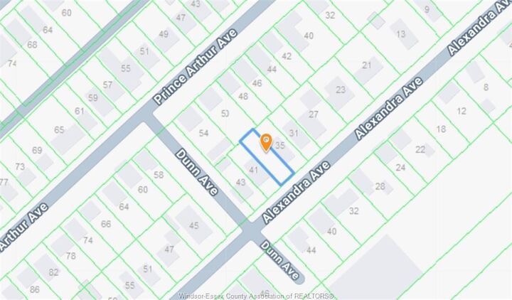 Vl Alexandra Avenue South — photo 1