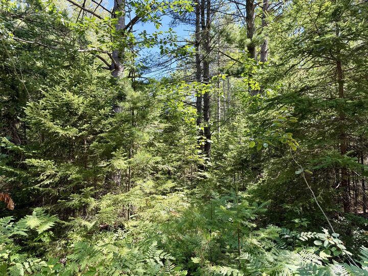 Property Photo:  V/L Yvonne Avenue  MI 49721 
