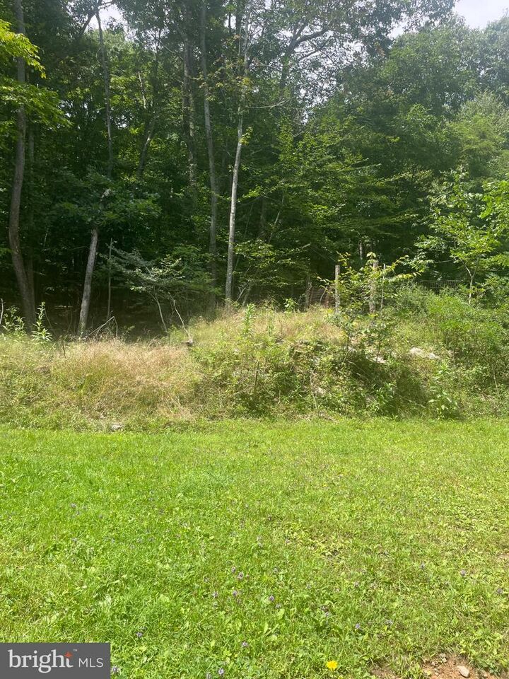 Property Photo:  559 Guthrie Lane  MD 21536 