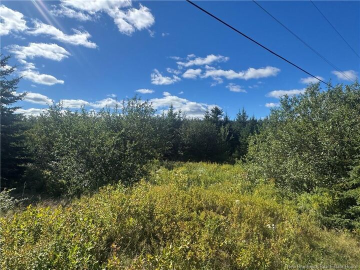 Property Photo:  Lot Route 111  NB E4E 3T3 
