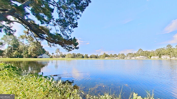 Property Photo: 106 Charity Cove GA 31757