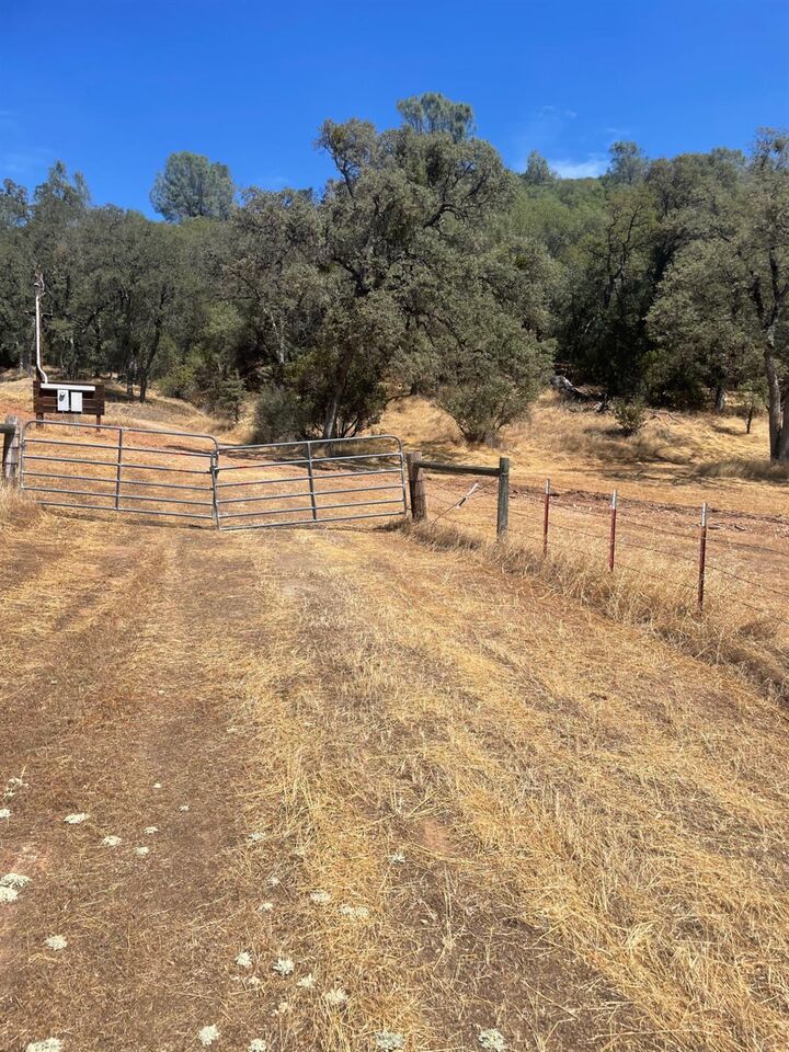 Property Photo: 2559 Appaloosa Way CA 95222