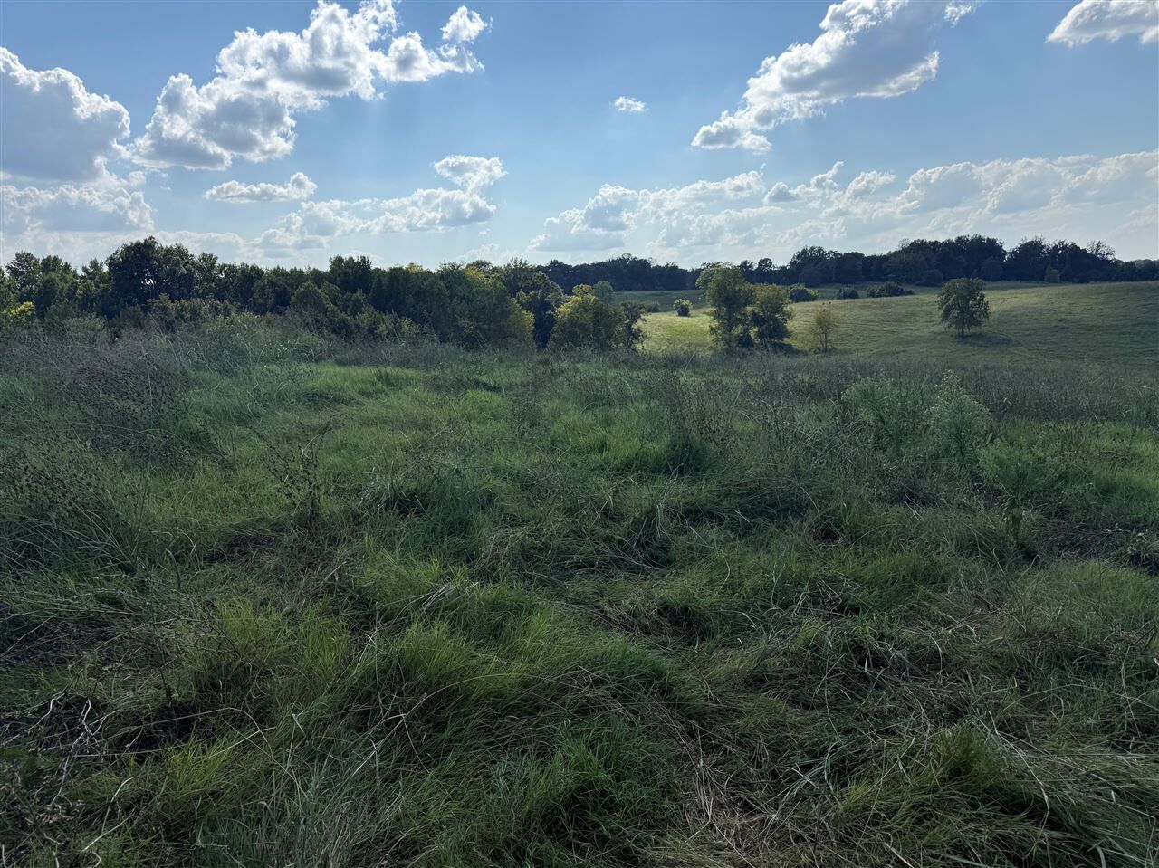 Property Photo:  Lot 9 Conatser Road  KY 42141 