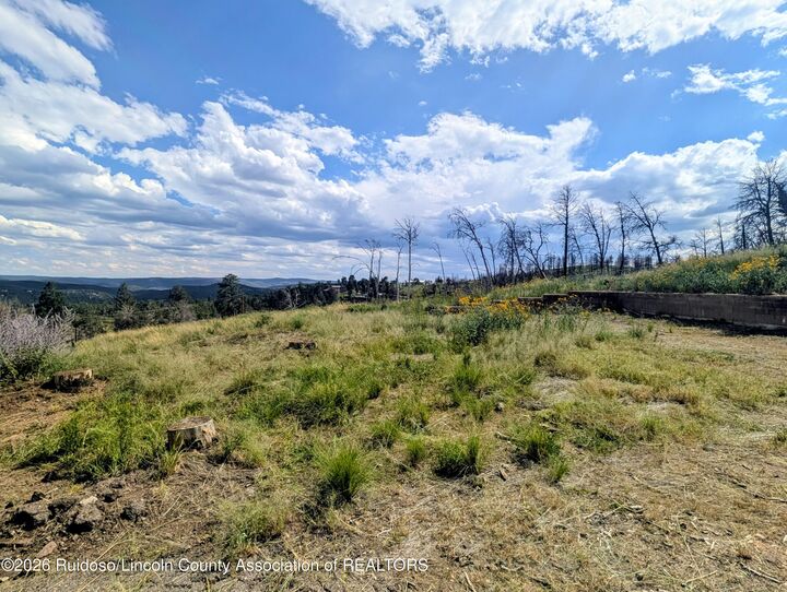 Property Photo:  113 Kaibab Drive  NM 88345 